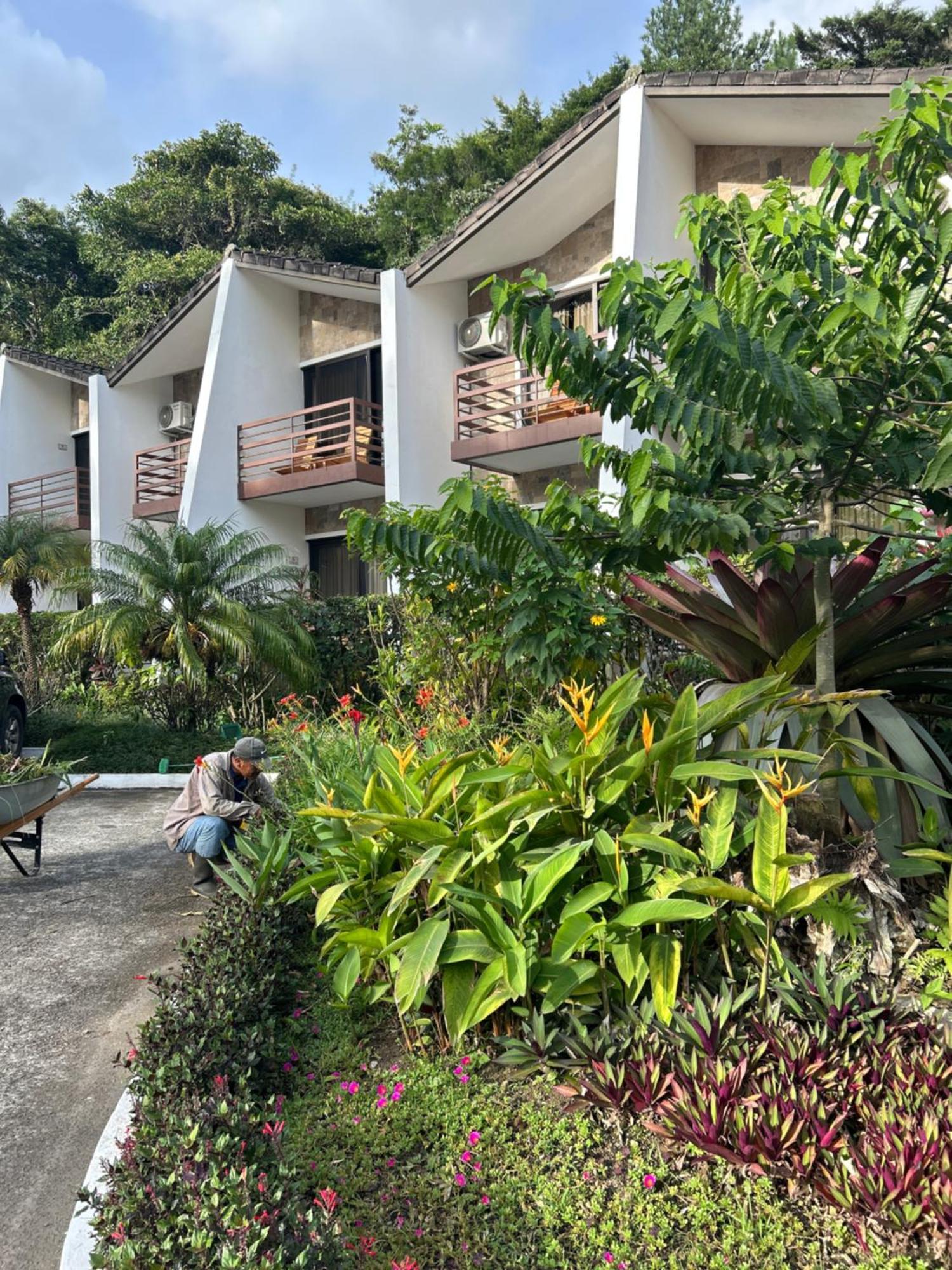 Ladera Boquete